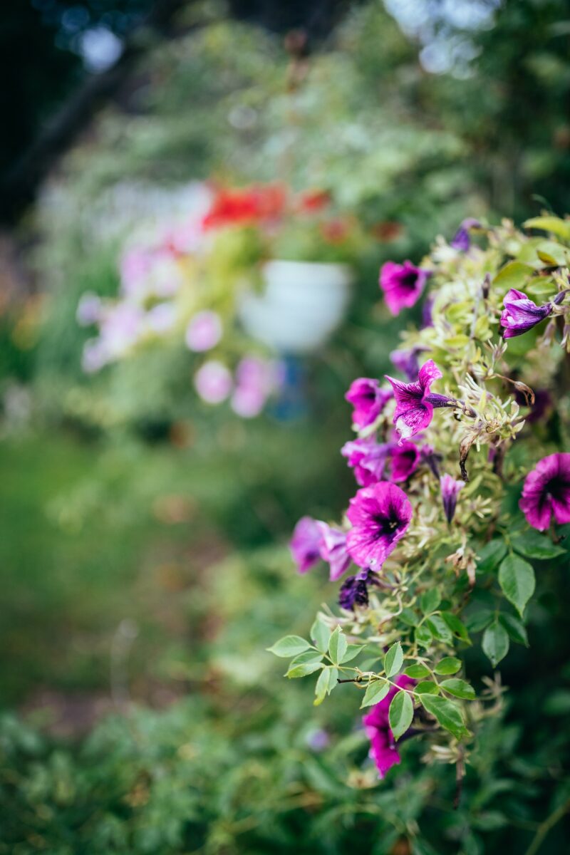 Sigma AF 35mm F1.4 DG HSM Art