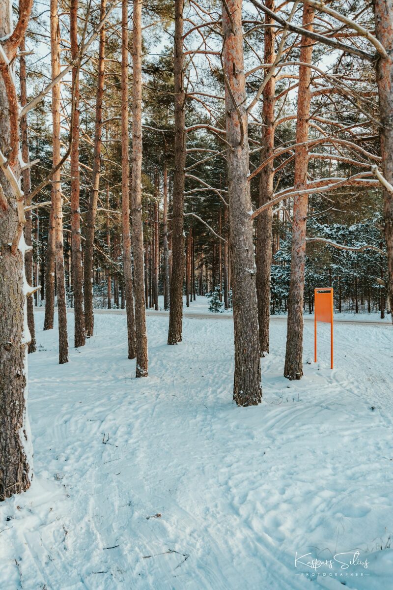 Mežaparks