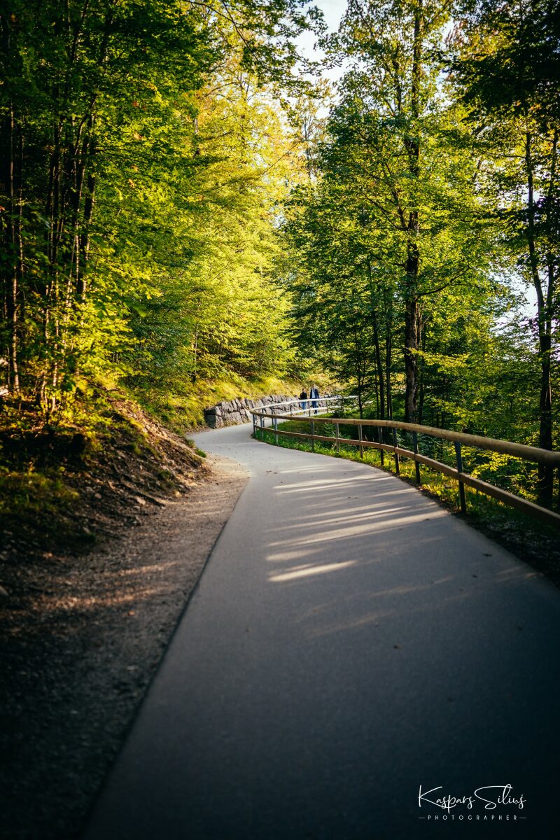 Neuschwanstein - Bavaria