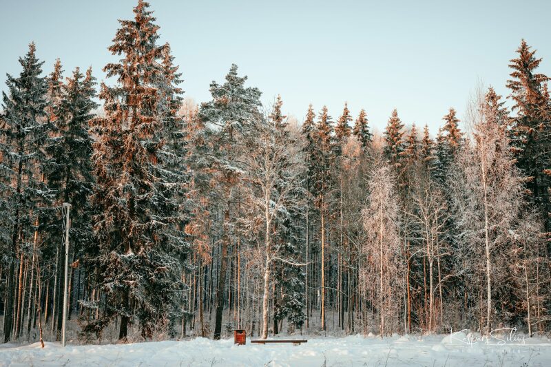 Mazā Arktika