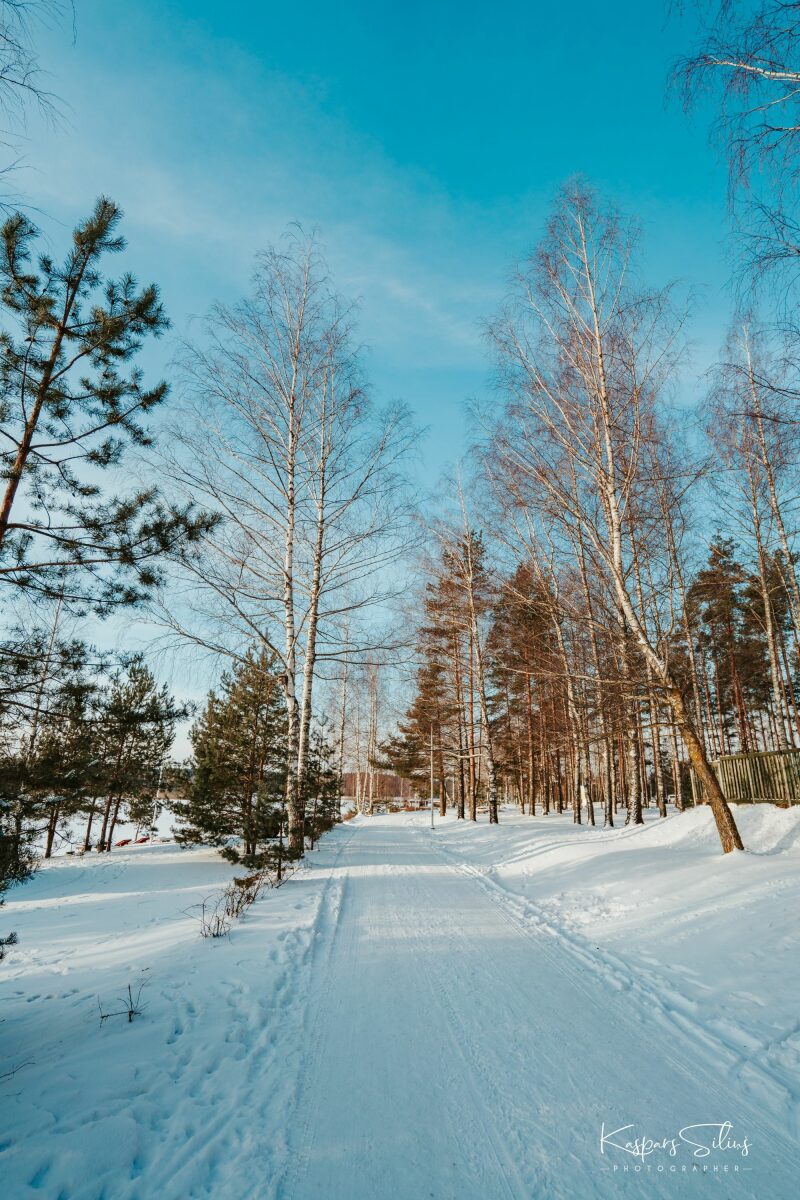 Mežaparks
