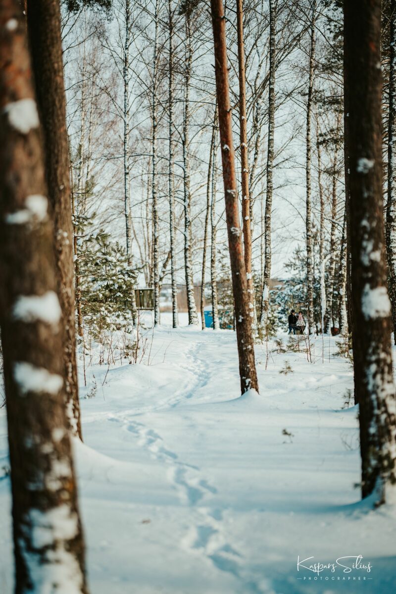 Sigma 85mm f1.4 DG DN on Sony A7RIV