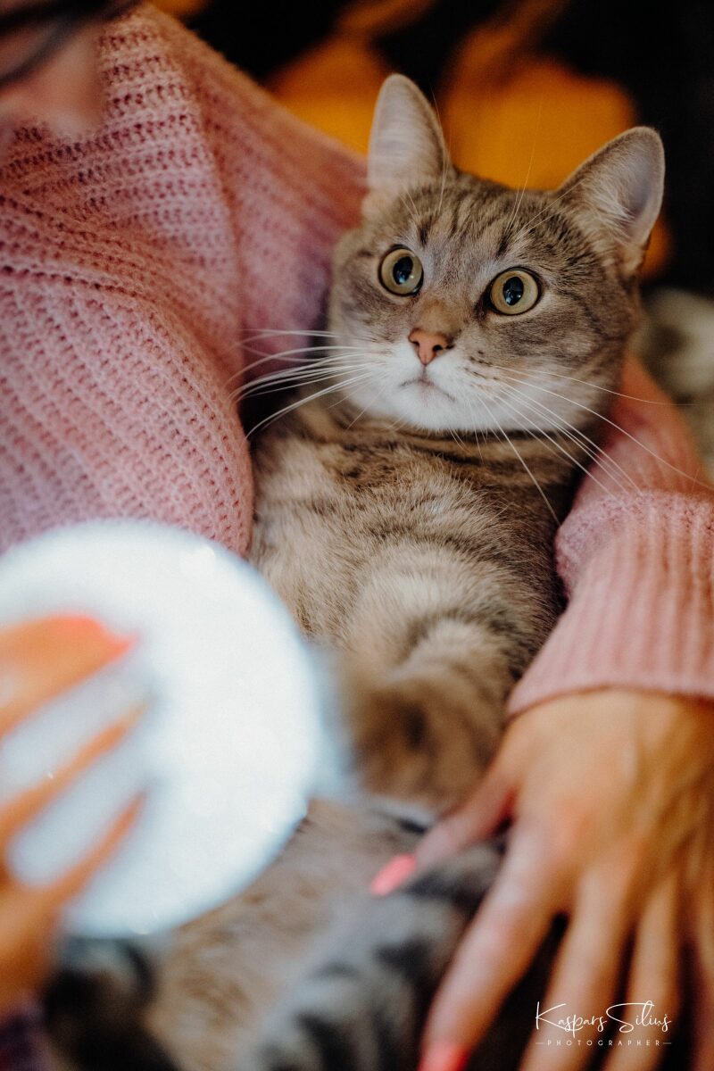 Sigma 85mm f1.4 DG DN on Sony A7RIV