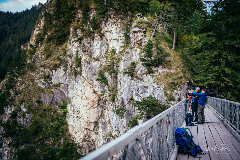Neuschwanstein - Bavaria