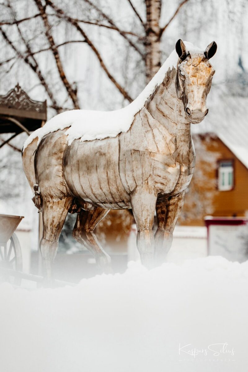 Ziemas skati Jēkabpilī