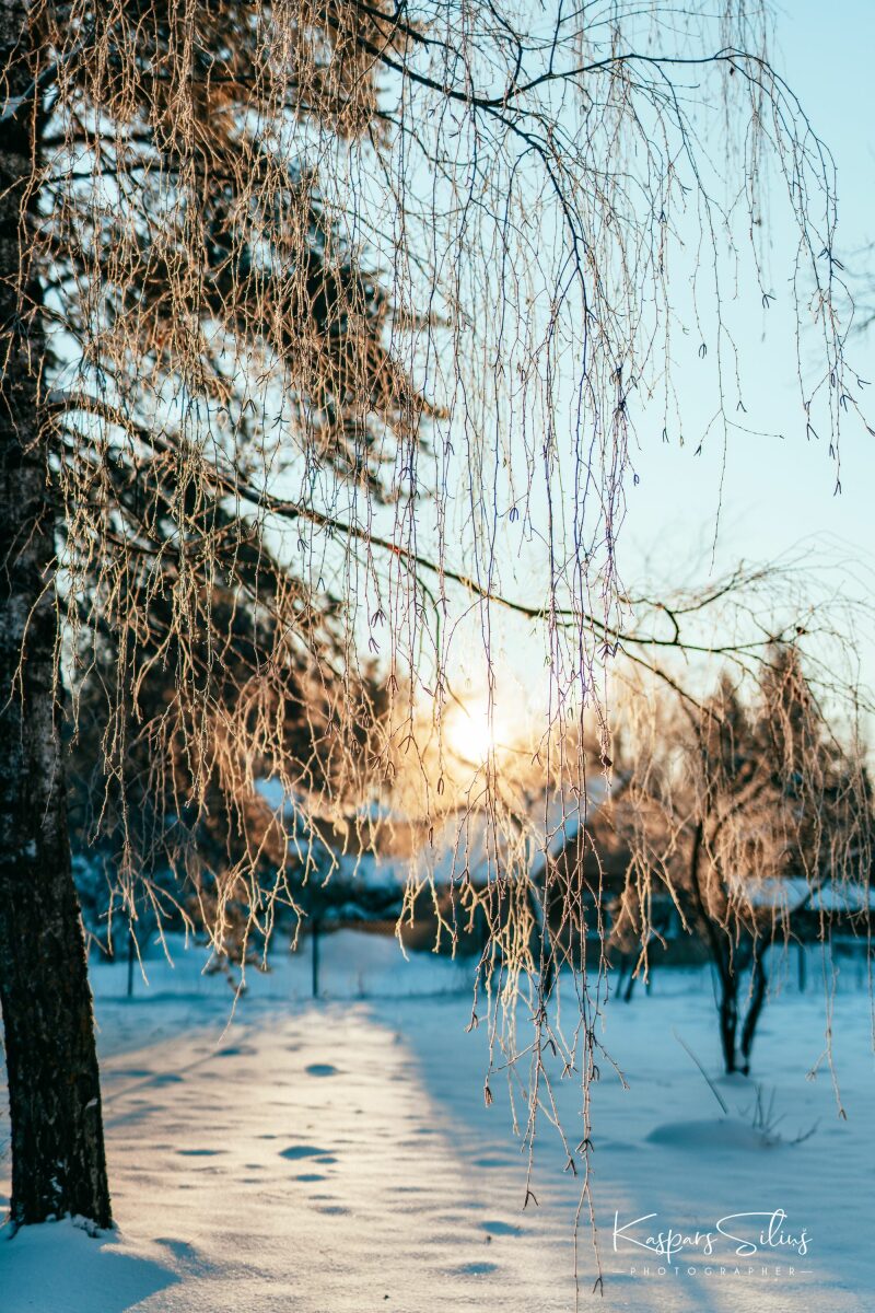 Mazā Arktika