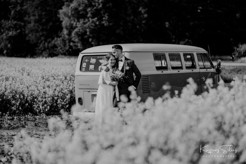 Zanda & Rolands
