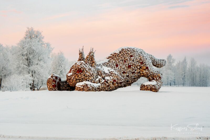 Ziemas skati Jēkabpilī