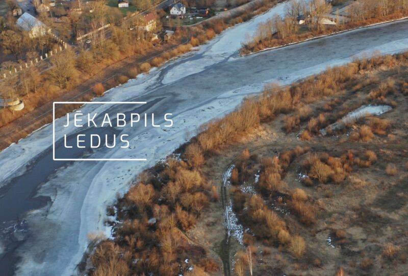 Ledus