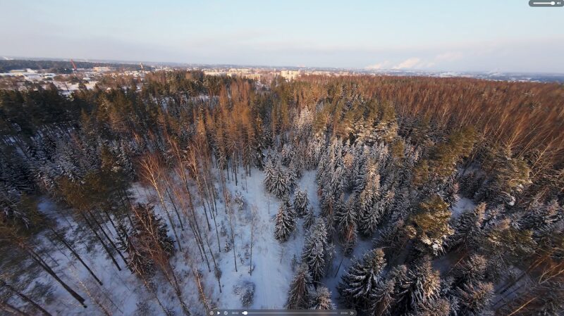 Ziemas saulriets mežaparkā
