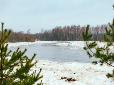 Fotogrāfs Kaspars Siliņš