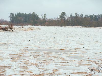 Fotogrāfs Kaspars Siliņš