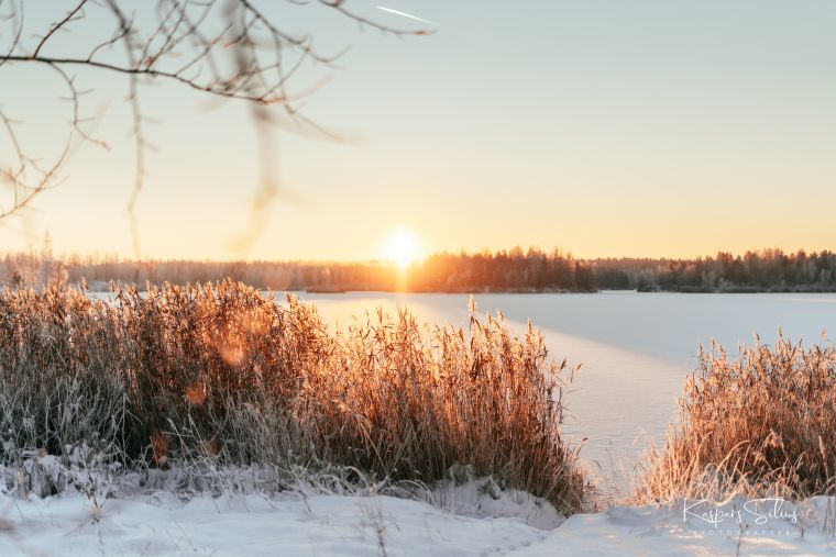 Mazā Arktika