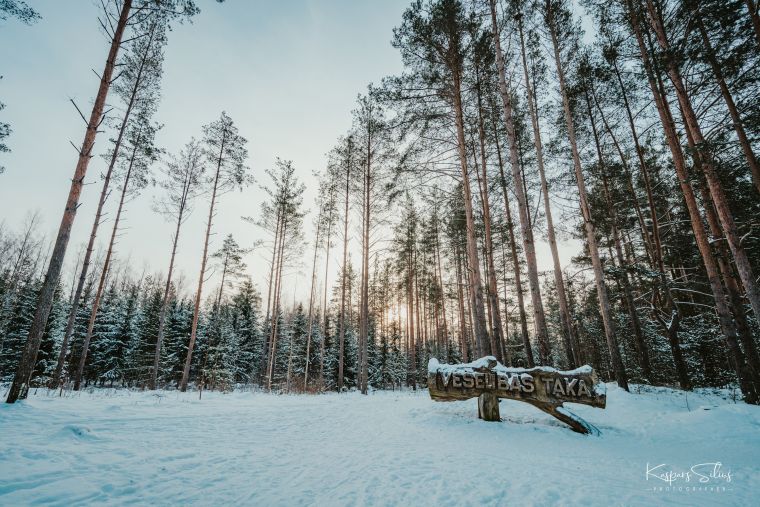 Mežaparks