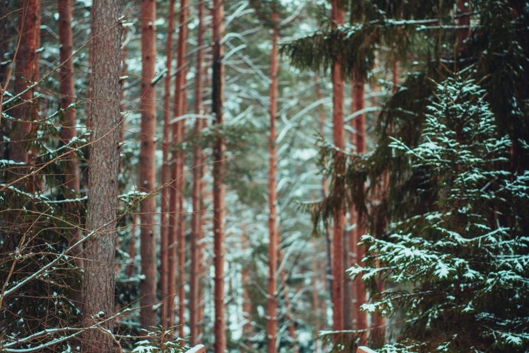 7 soļi svaiga gaisa