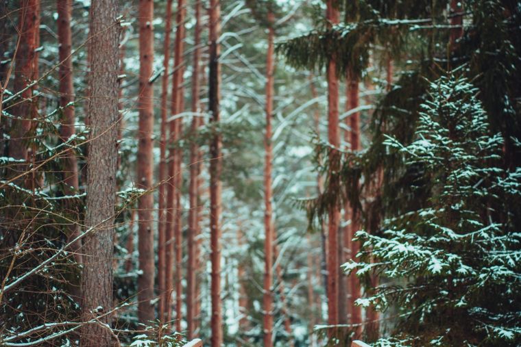 7 soļi svaiga gaisa